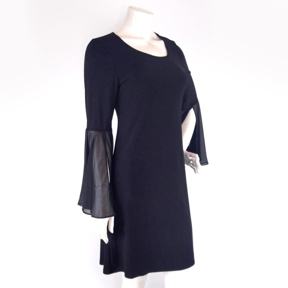 Black Witchy Goth Dress with Chiffon Angel Flowy Sleeves - Picture 3 of 9